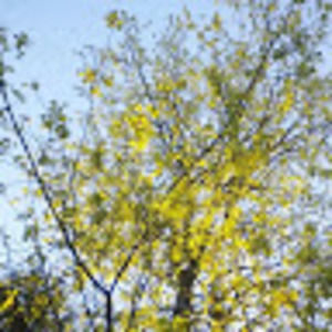 Meet your Posher, Cristine